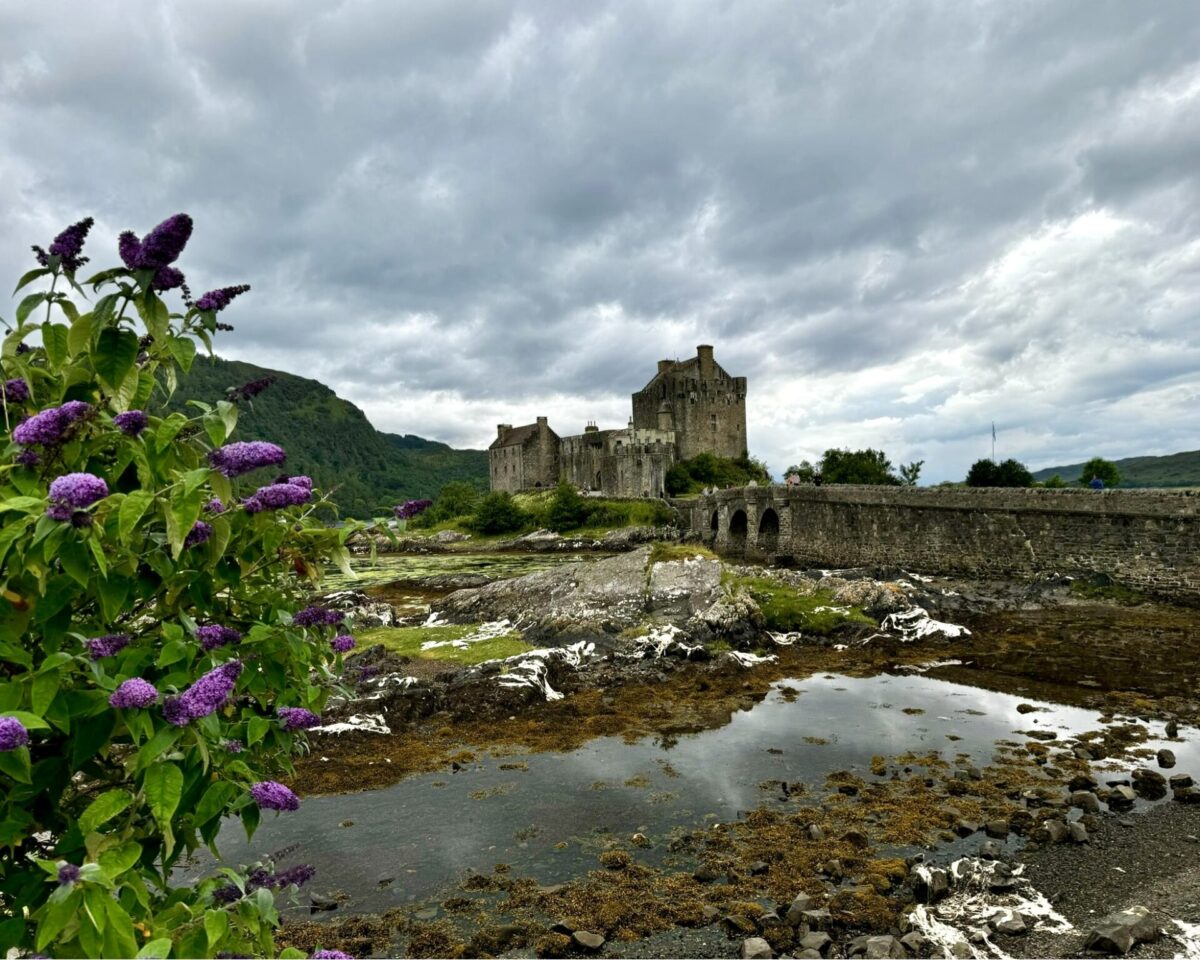 Måsten på Isle of Skye